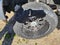 2015 Ford Super Duty F-350 SRW Platinum