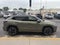 2025 Volkswagen Tiguan SEL R-Line