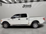 2010 Ford F-150 XLT