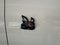 2027 Dodge Charger CHARGER SCAT PACK PLUS 4-DOOR AWD