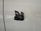 2027 Dodge Charger CHARGER SCAT PACK PLUS 4-DOOR AWD